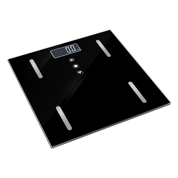 Gravitti Digital Glass Body Analysis Scale Wayfair Canada